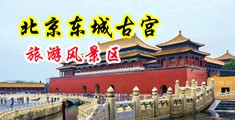 看大逼看大骚逼中国北京-东城古宫旅游风景区